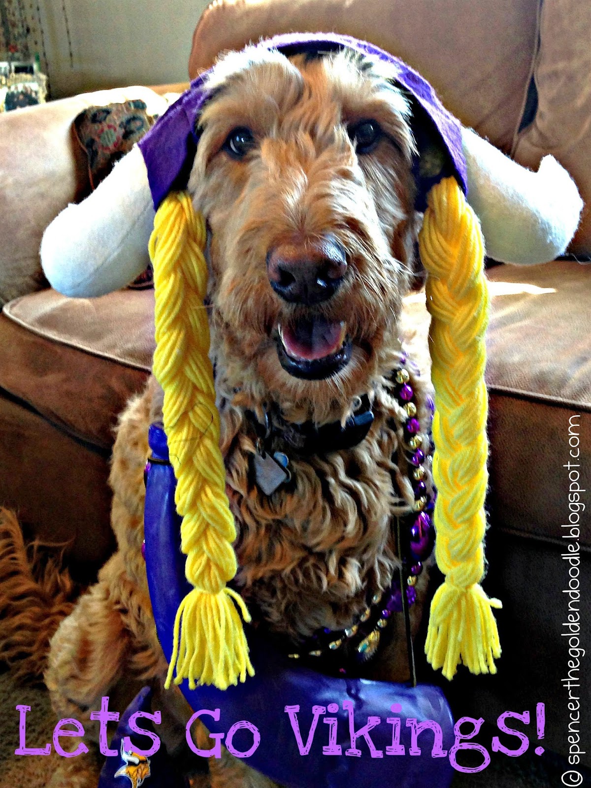 Go Vikings Go Vikings